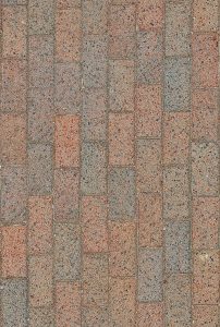 Close-up view of gray and red brick pavers with a textured surface pattern.